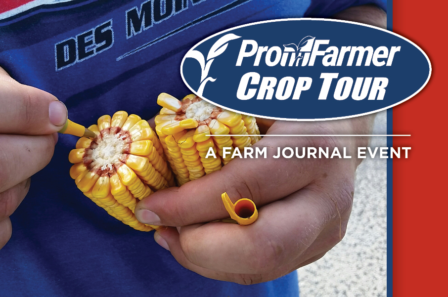 pro farmer crop tour